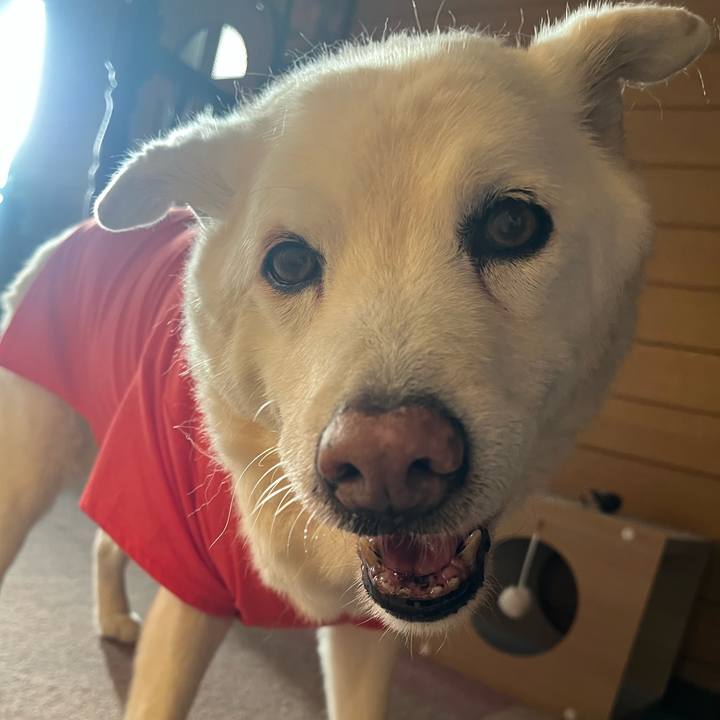 63c7777c 48a9 4672 85d8 75e4160d00b3 1768520931629