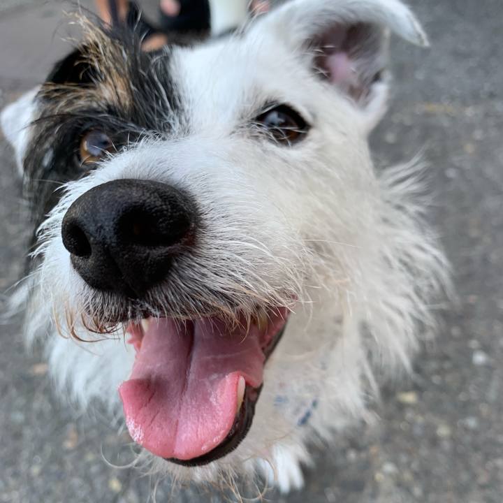 63c7915d 84dd 4eba b745 62d4e5b24aaa 1656457451830