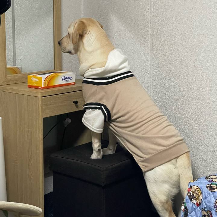 63c7b132 e190 4a7e a6c2 fdae48e771dd 1638538692014