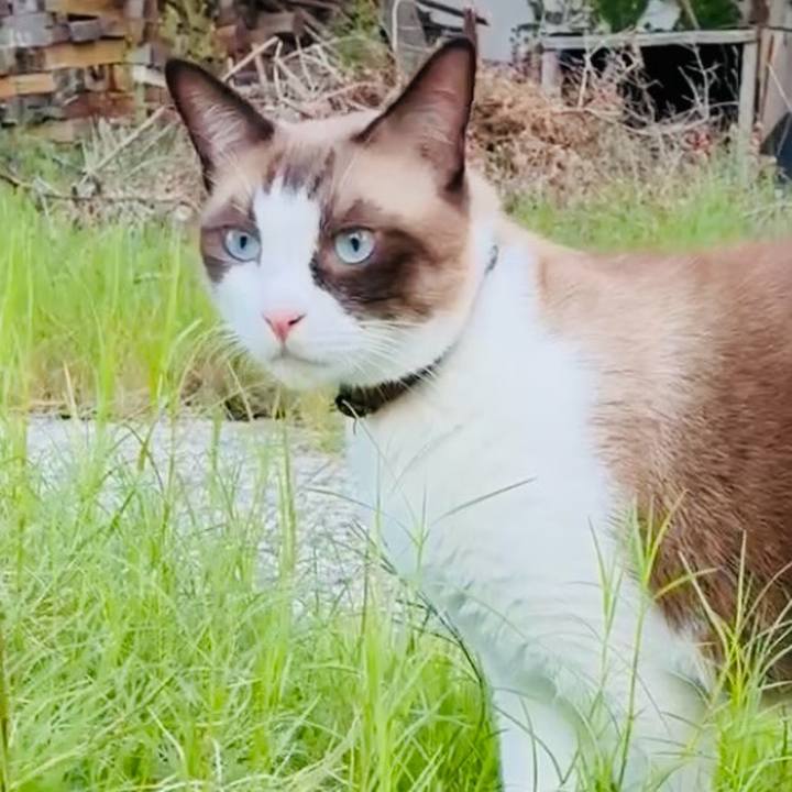 63c7b765 9354 461b 8228 0d8d1b53f611 1758267744511