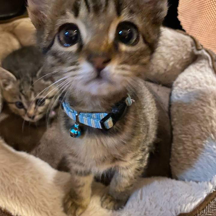 63c7c20f 35cf 46da 93fe 247d75c06ce4 1638181438952