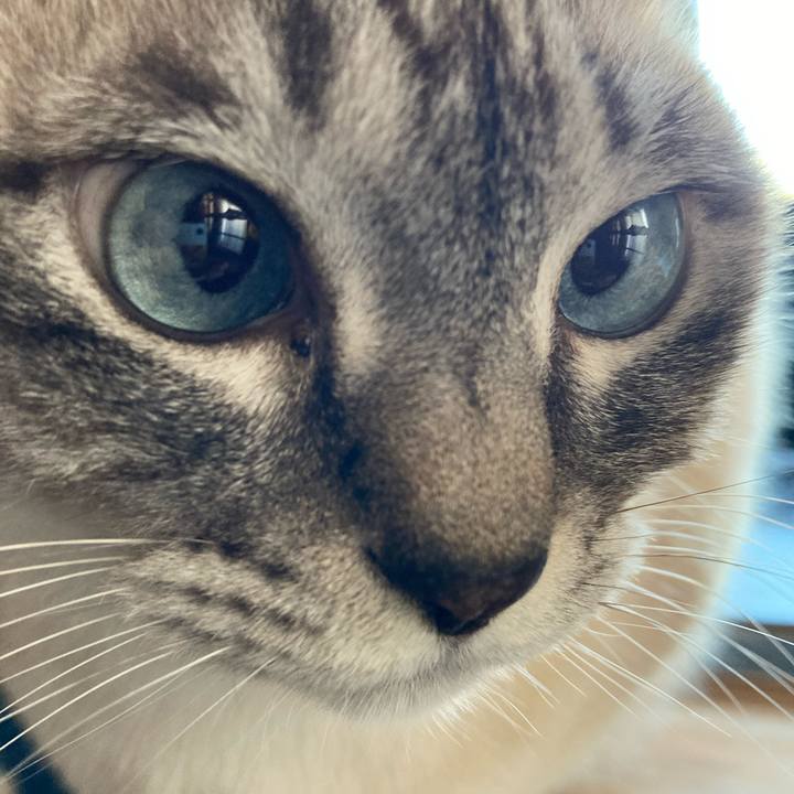 63c7debe 0a5b 4c49 9482 51f4f191ee8e 1737010495965