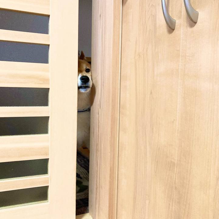 63c81e40 4471 4f31 83ef f6277f1890ae 1679618439547