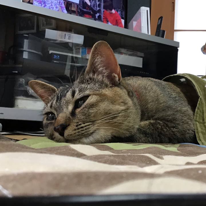 63c82d09 2a5d 42b6 b380 eff88593c4e1 1585456653101