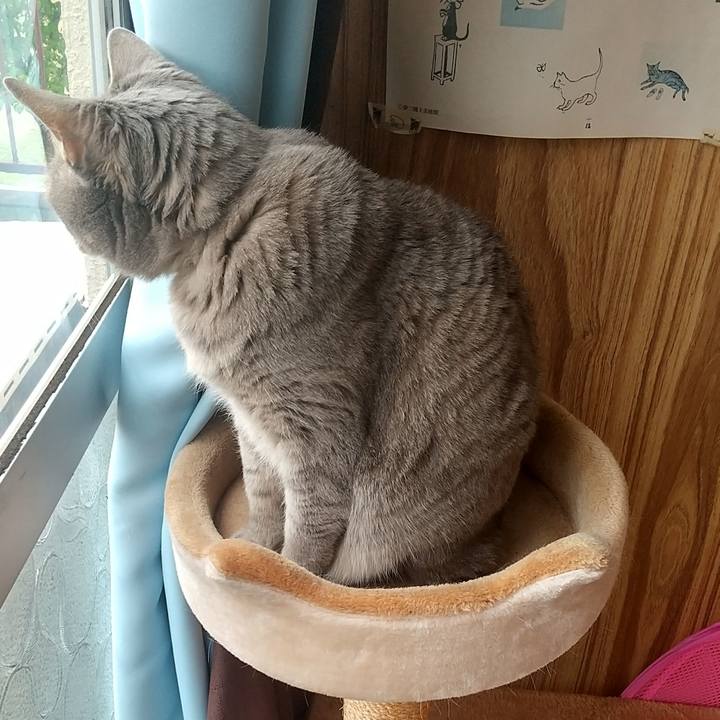 63c887ce 3c3f 45dd bb94 9c19422e0de6 1620184021669