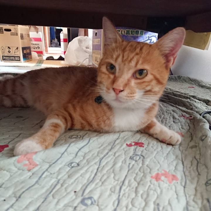 63c88cbe e9ed 42e3 aacb a185de8cf1ee 1565493024999