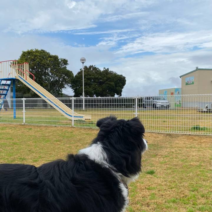 63c89f76 0d8c 4a1c 8324 375557a3d02f 1708480427553