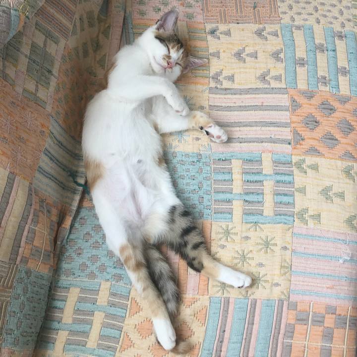 63c8ad45 0605 41b1 a1a6 bcb9cbe0099b 1566010960962