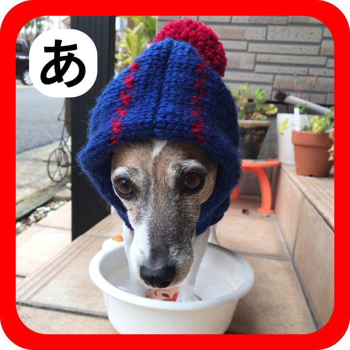 63c90050 bc39 4648 a6d4 b242a5d735fd 1515119221008