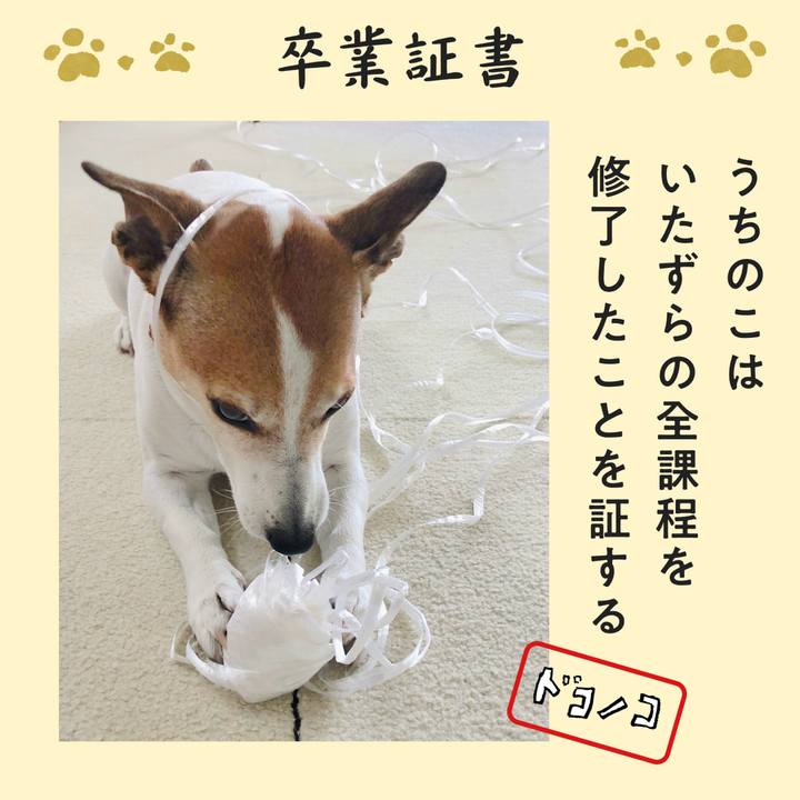 63c91901 6efe 4ce2 81d6 7a2fc90cdf27 1772025909942