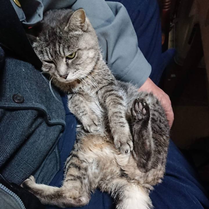 63c95bc2 bdd6 48c3 be61 c996ff2d1975 1607545332651