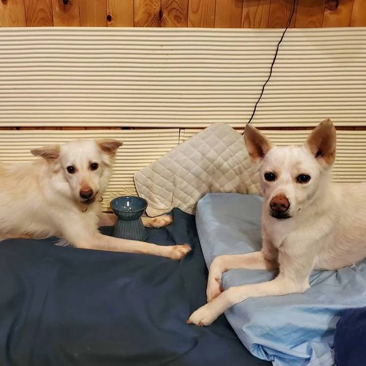 63c97155 fec2 4bd5 ac61 eaf7c1346e63 1761919493558