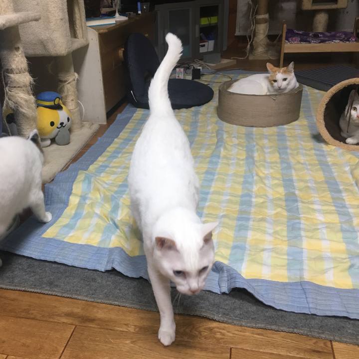 63c976ee 8348 4ec3 8698 fa044d4f10ec 1532958229136