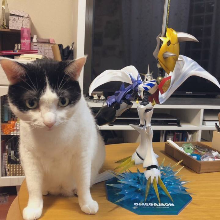 63c98ebf 3747 4458 9d27 42f7e9403fd8 1569933695077