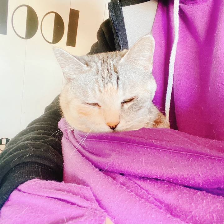 63c99729 148a 4882 9920 abe05a5ade6f 1678573915984