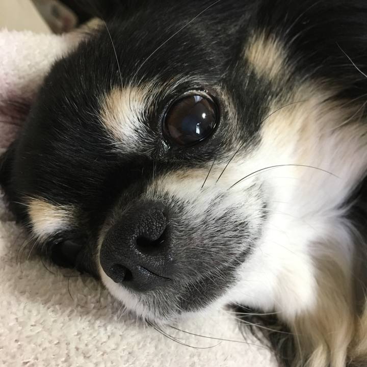 63c9ba09 9c30 4526 af39 5579f2ba15af 1538277545189