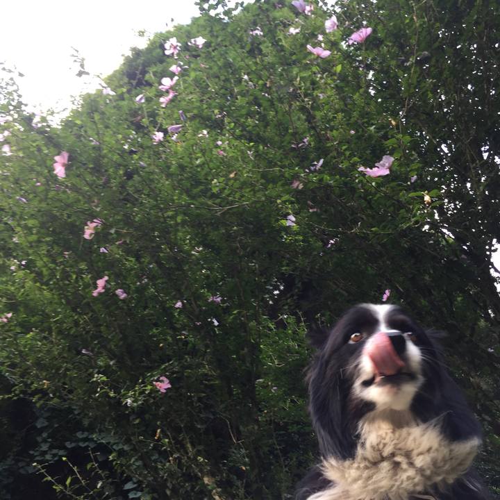 63ca3fb1 e328 46e2 9afe 20a1f29b5795 1534147861317