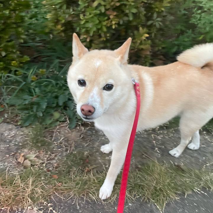 63ca4e34 6060 4ac8 9a9c f184d4bdfc9c 1700469112951