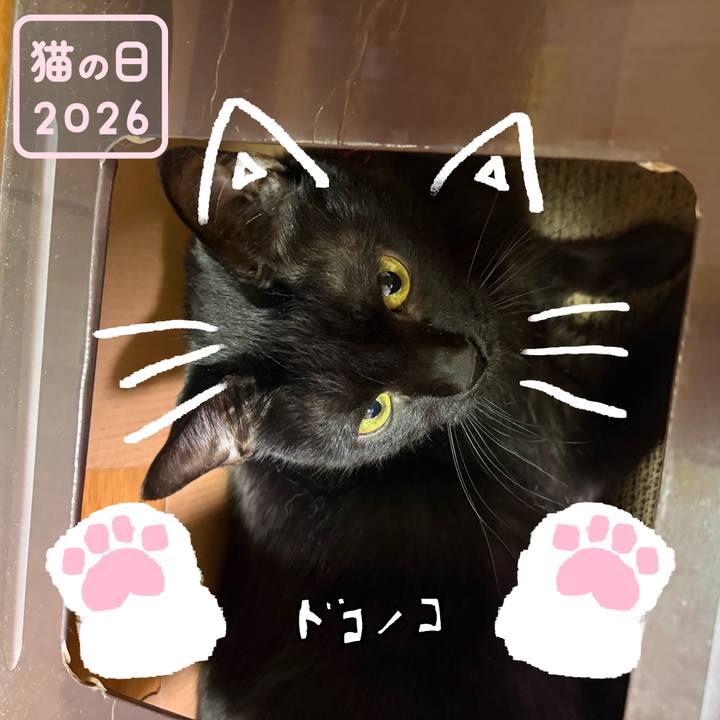 63ca65f6 988e 4447 ade2 e4c5d1ad456b 1771788550446