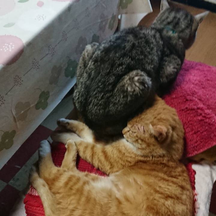 63ca90fe 4453 4f5e a6e5 b219bd5f31ca 1550987694474