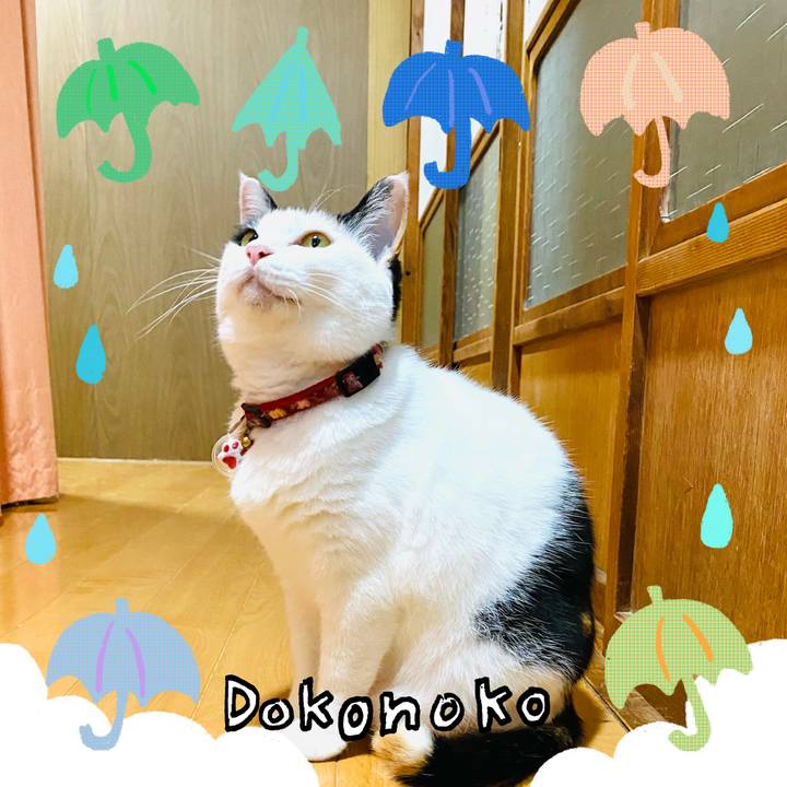 63ca9d41 c76d 4a68 8147 440f437355ef 1717680374505