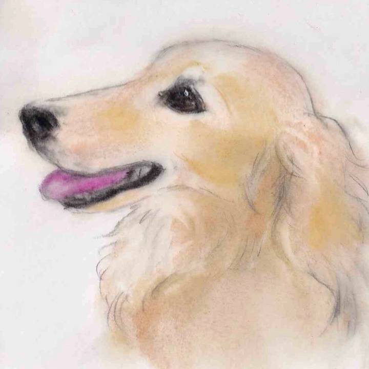 63caca64 3ffa 42b4 8559 1c3d2a677dfa 1643122331432