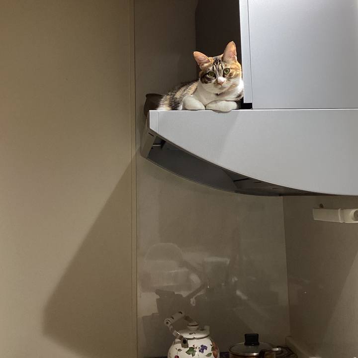 63cad558 f148 40d3 b6e8 30e179f68141 1718148698758