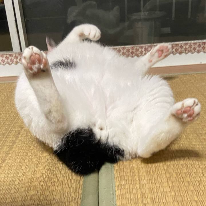 63cb0757 5554 4683 8c5e a77684599a83 1591875110030