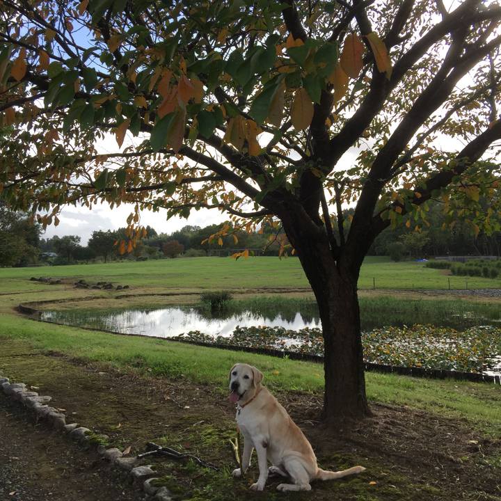 63cb0b99 7765 442a b48d 1f182466ade7 1538895697622