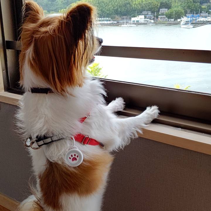 63cb260e 837f 4201 9a63 840374457cb6 1657877618627