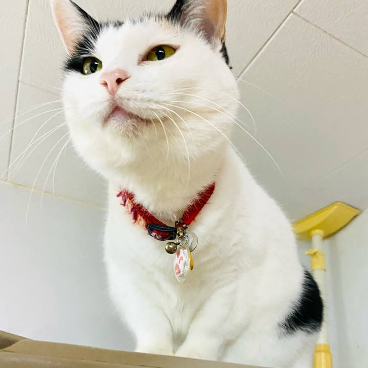 63cb3190 dc70 433c 8a89 89266fb98fc1 1730647183358