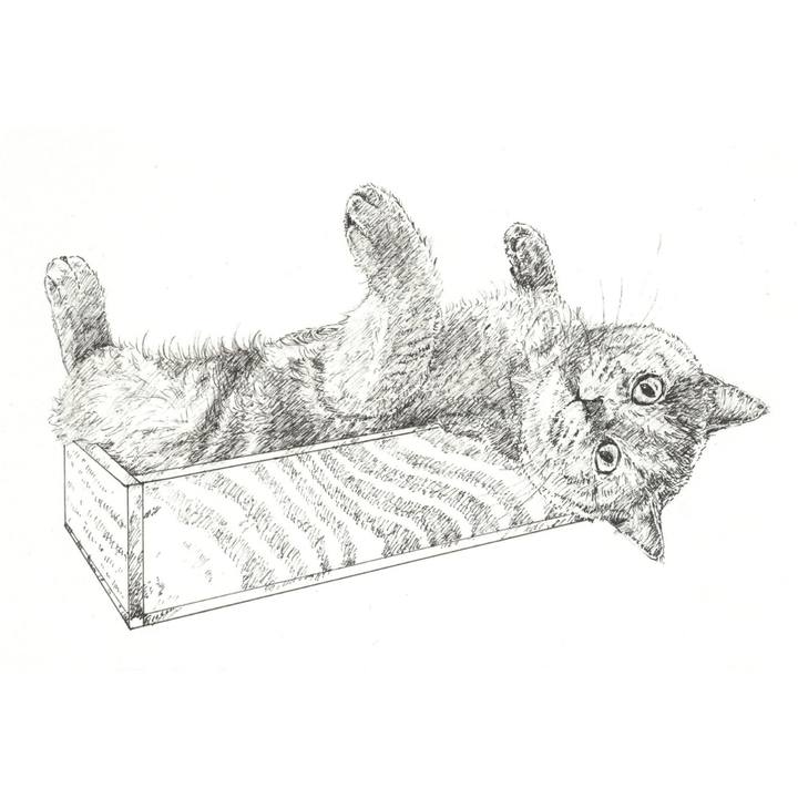 63cb3414 3a7c 4c3e af24 50c016743031 1578970362610