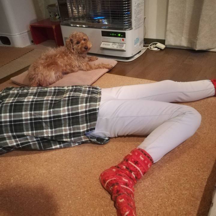 63cb8dd3 f510 4829 b15c b5f46ed3caa9 1547675642233