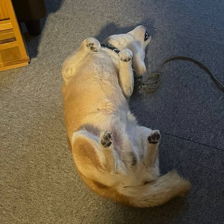 63cb9a84 150b 412d 980c d44c0173388b 1704612352487