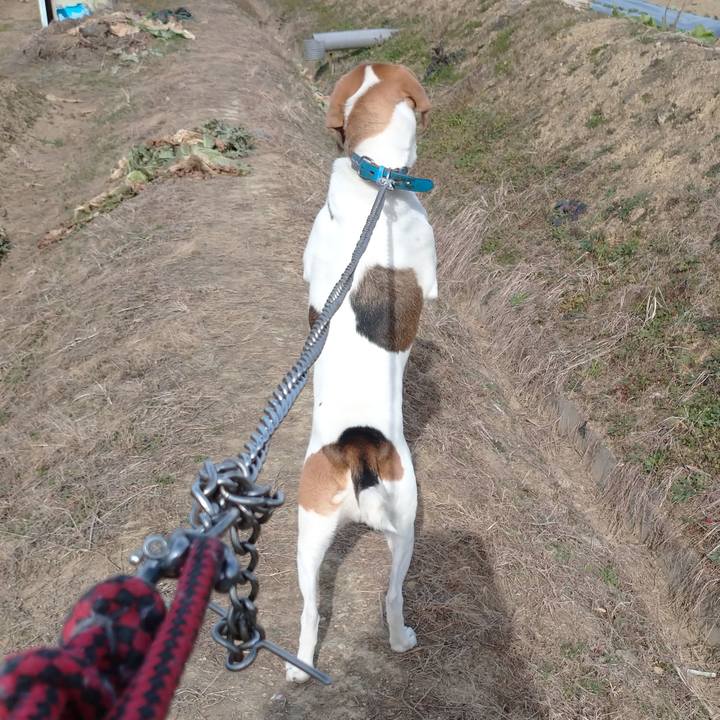 63cba2a4 2696 47d2 bd5a dc93fec6c688 1608263753802