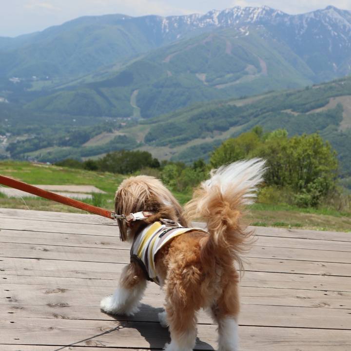 63cba836 d10f 415d 93a8 da7616ba61f3 1590666395305