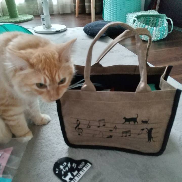 63cbbed2 bc1d 4077 85d7 f256f16e69b4 1628313149418