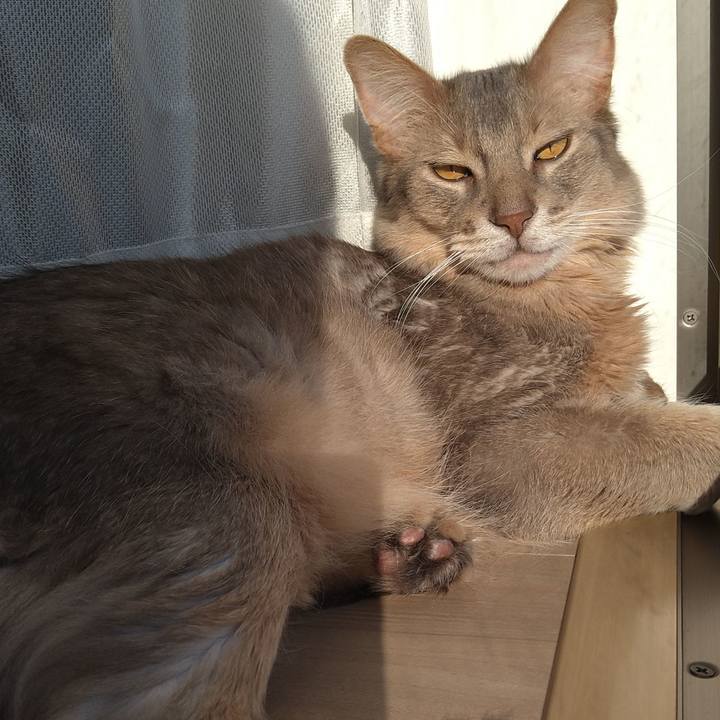 63cbd0e6 8fae 4280 a8fd 96bdfbc7aa83 1618126812949