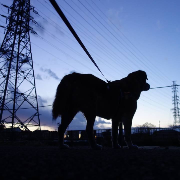 63cbdb93 4eb0 4d6f b906 a442ed4c882d 1554200563908