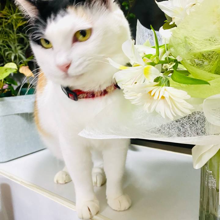 63cc1c23 5718 4e14 9b12 49fc143ab791 1701609885424