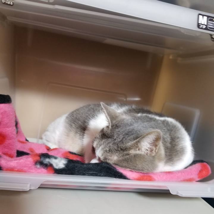 63cc32f2 4fd6 418c 8e16 6ce79f7e7666 1682951566123