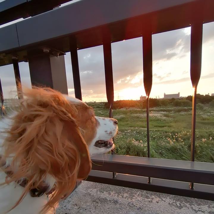 63cc3807 baa8 4de3 9401 224adea74524 1602667497145