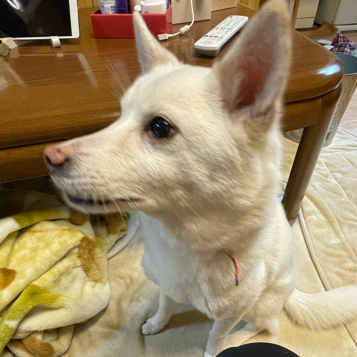 63cc5db4 8092 4ac4 aff1 8549cea7dc77 1647861069441