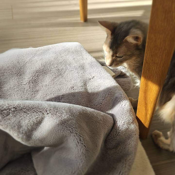 63cc63d6 2681 4793 85e5 bfc8004557e1 1770249492147