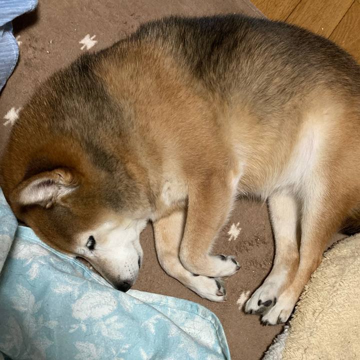 63cca8d4 3be8 4c6e a5a3 42d3c8c7ba69 1732535260250