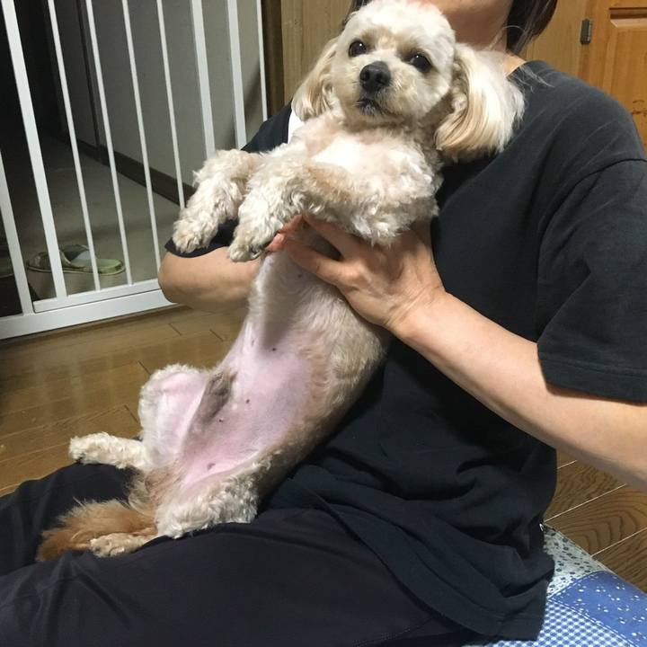 63cd276b 3f47 4b8d a57d b29de1d3f9db 1559663008159