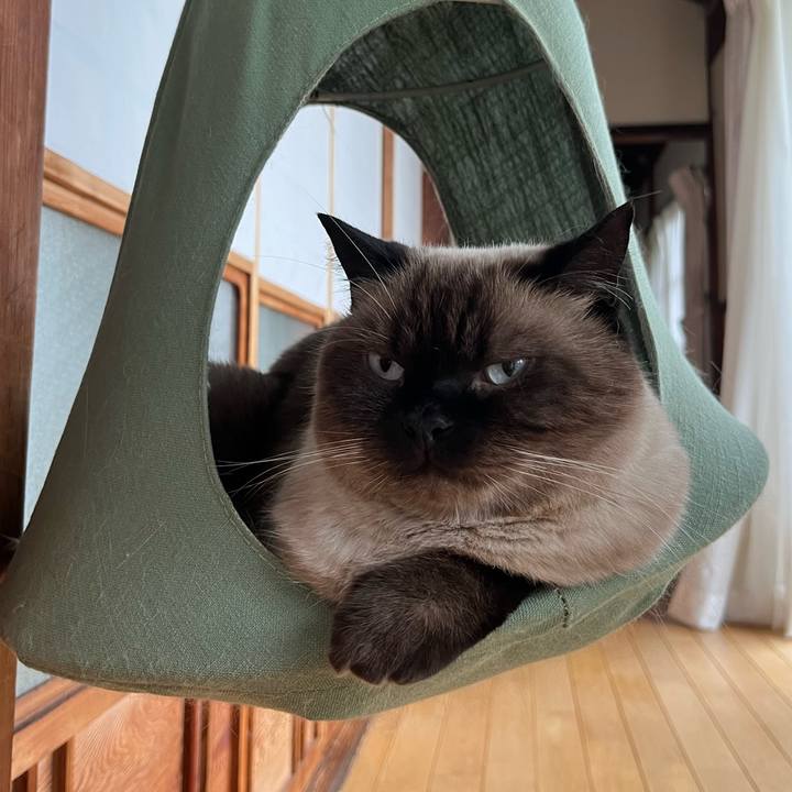 63cd3aed ba07 4ed0 a50d fa950e5cbbd4 1696124902614