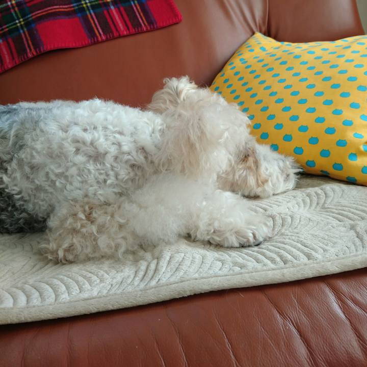 63cd6158 7dce 45fe a86a 6c3282a597bb 1548138700204