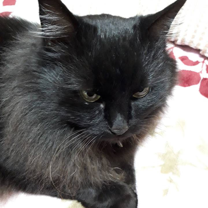 63cd6a18 14c3 4be8 83a3 1c97f3ee335e 1524139156541