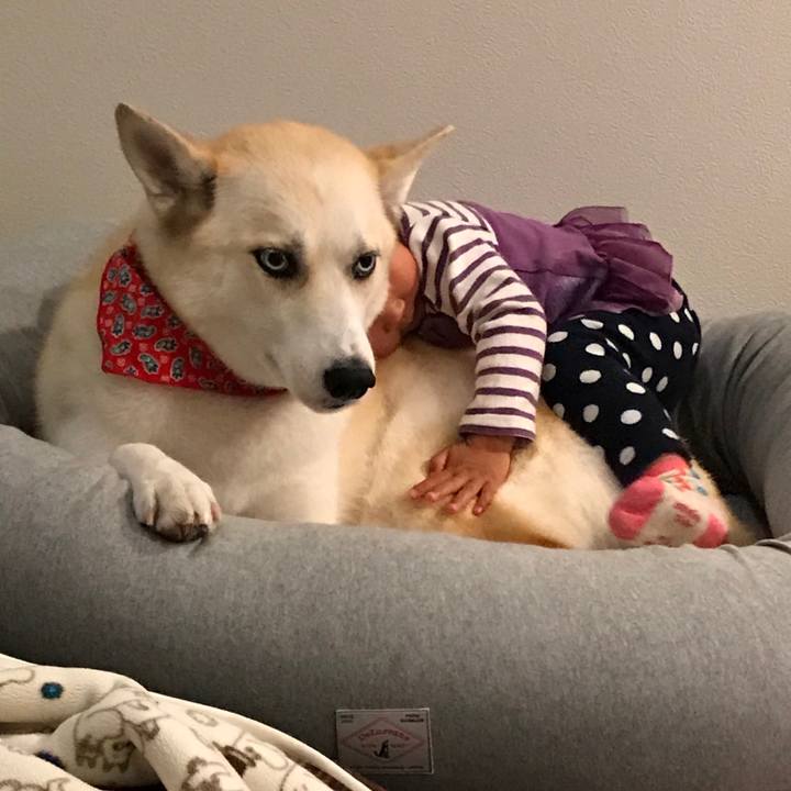 63cd987d 5df2 423a 94a7 71a9024112ae 1511263088215